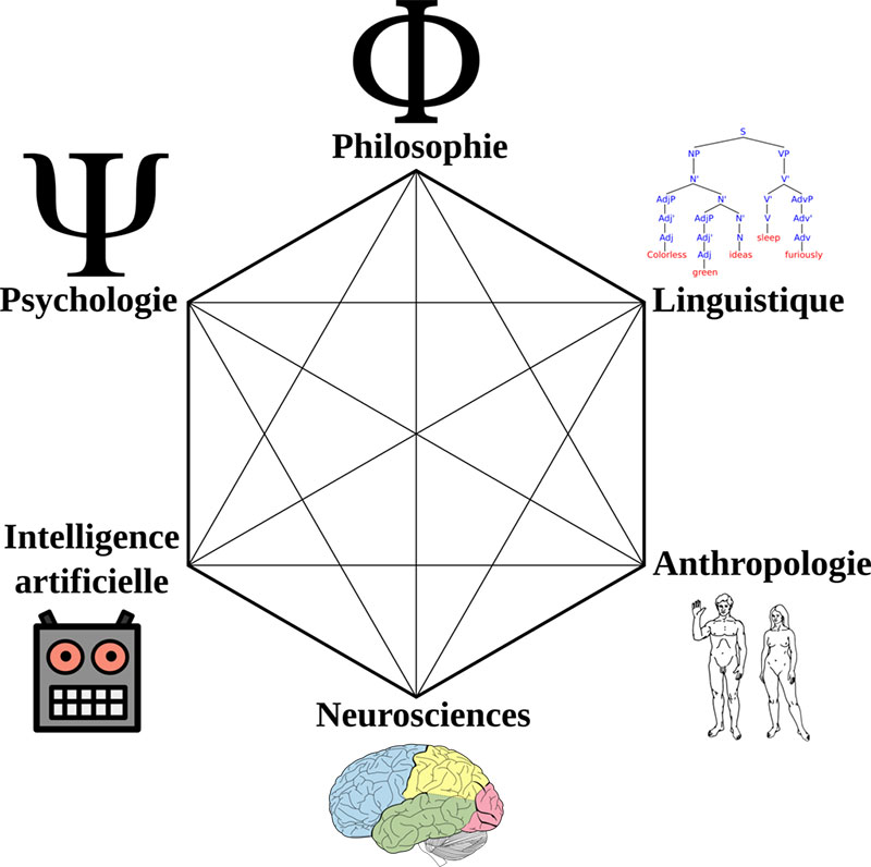 Cognitive_Science_Hexagon_tr